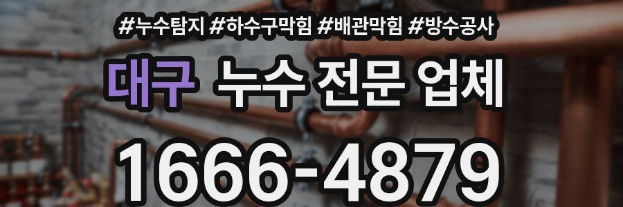 대구 누수 전문 업체