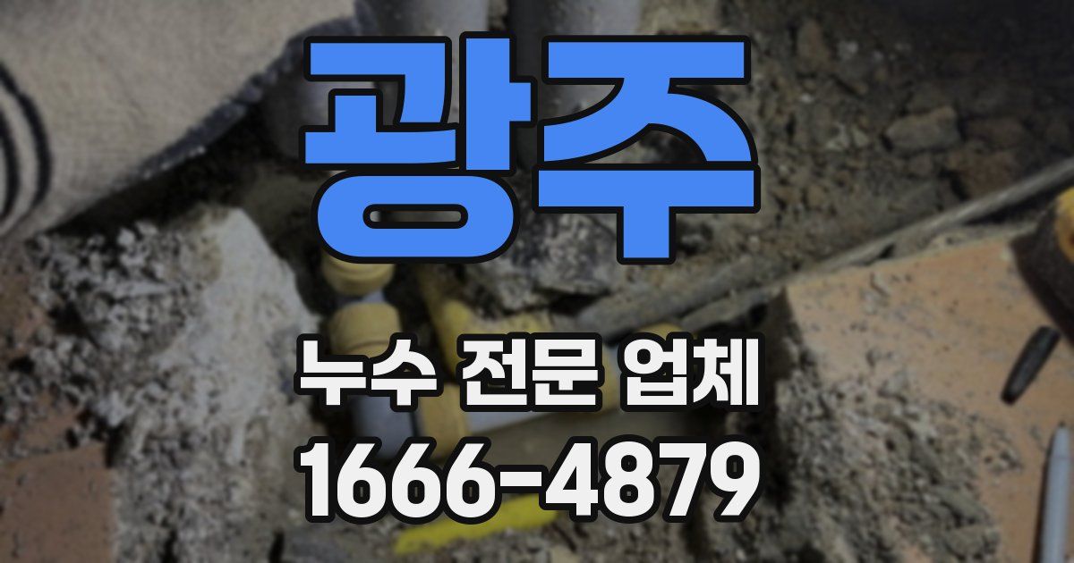 광주 누수 전문 업체