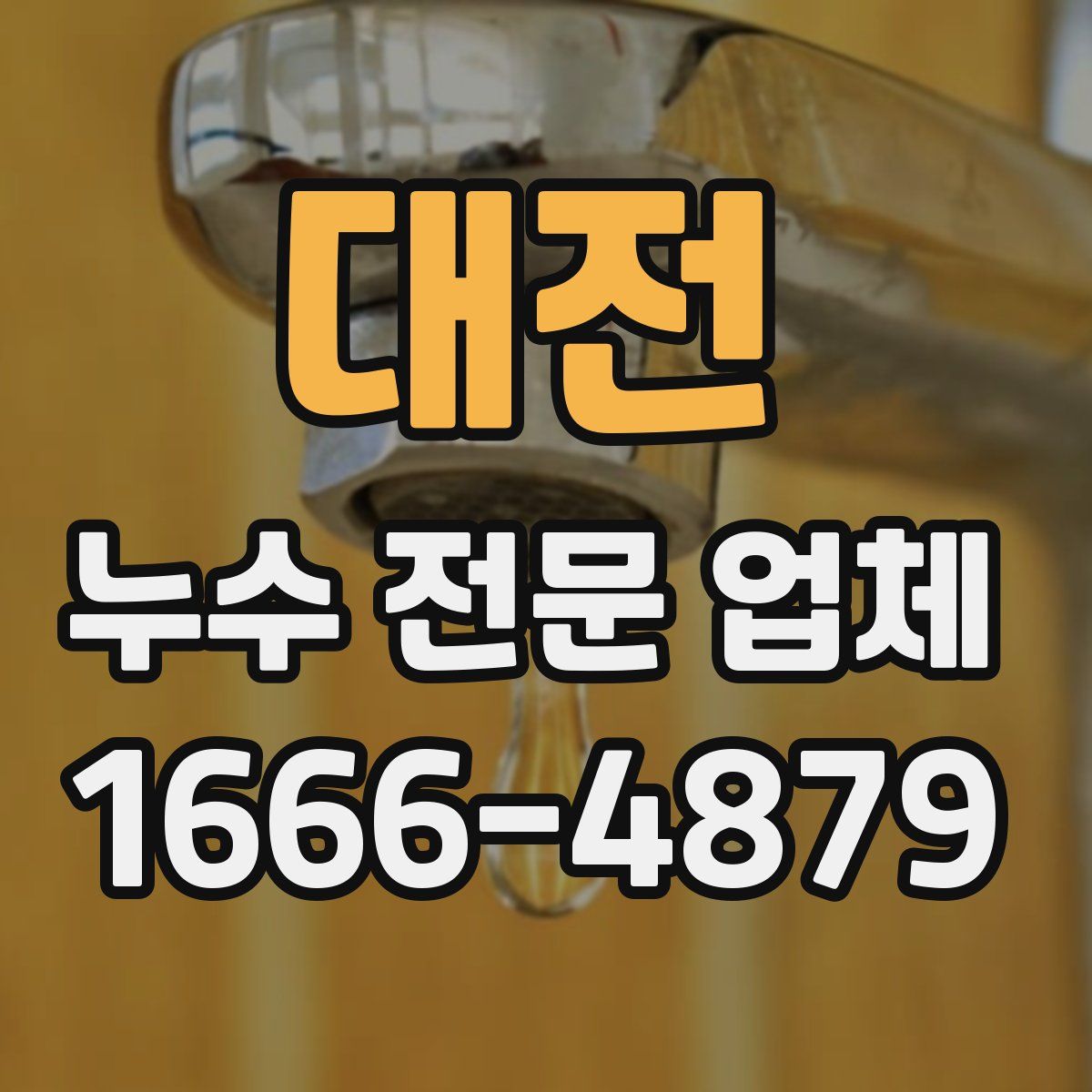 대전 누수 전문 업체