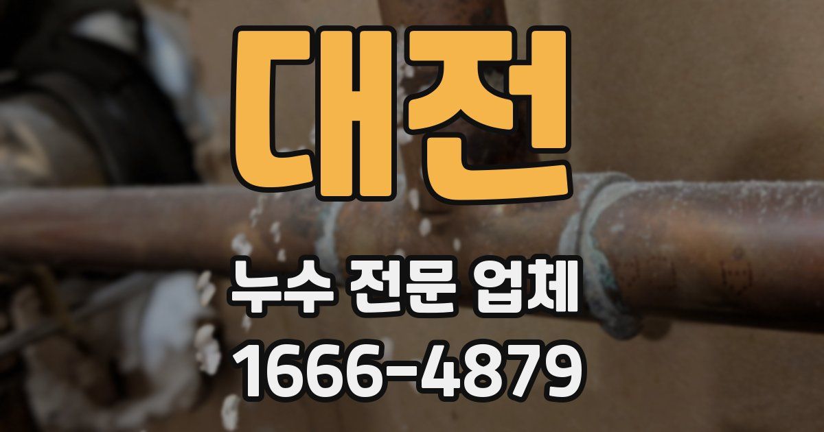 대전 누수 전문 업체