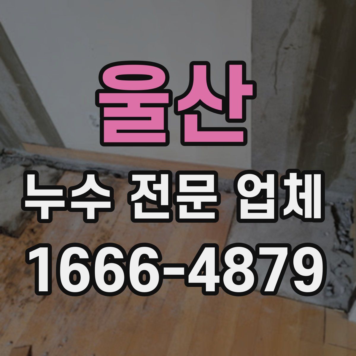 울산 누수 전문 업체