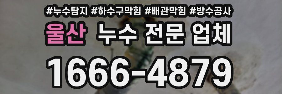 울산 누수 전문 업체