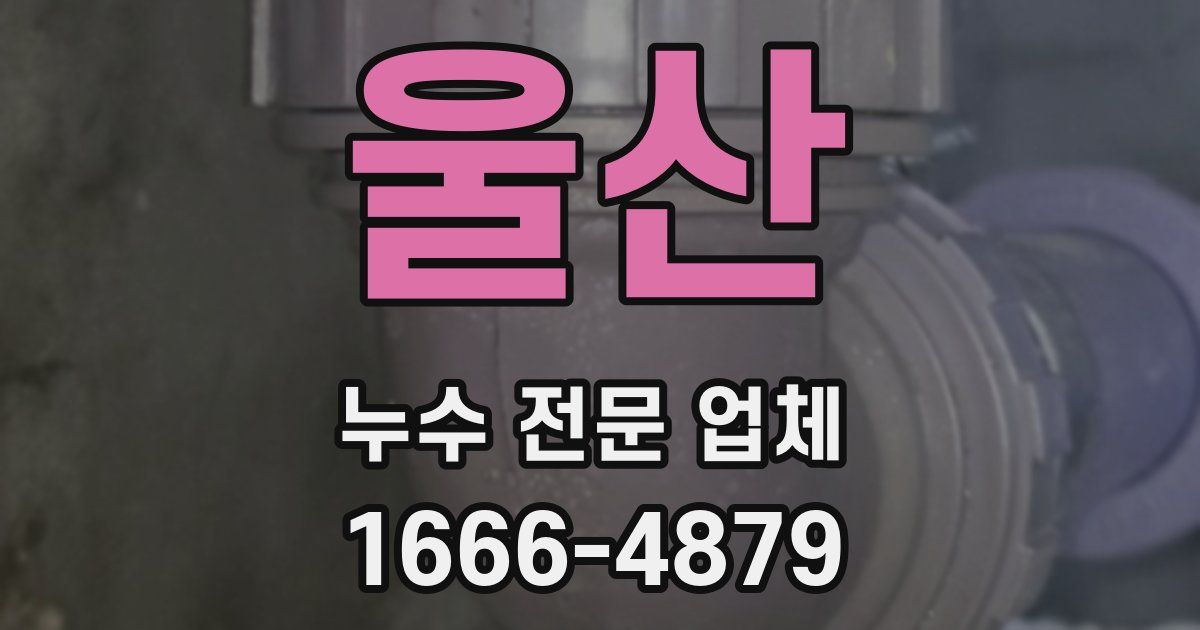 울산 누수 전문 업체