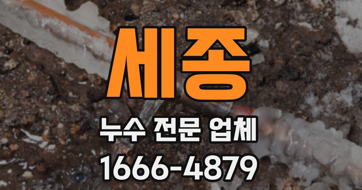 세종 누수 전문 업체