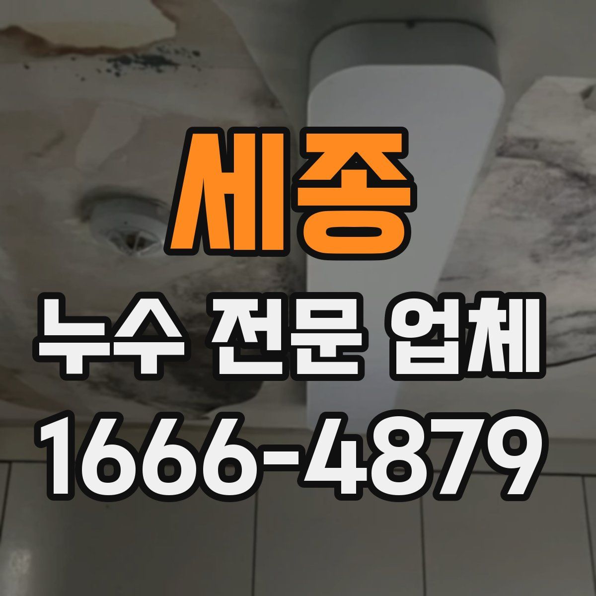 세종 누수 전문 업체