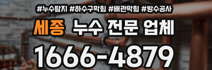 세종 누수 전문 업체
