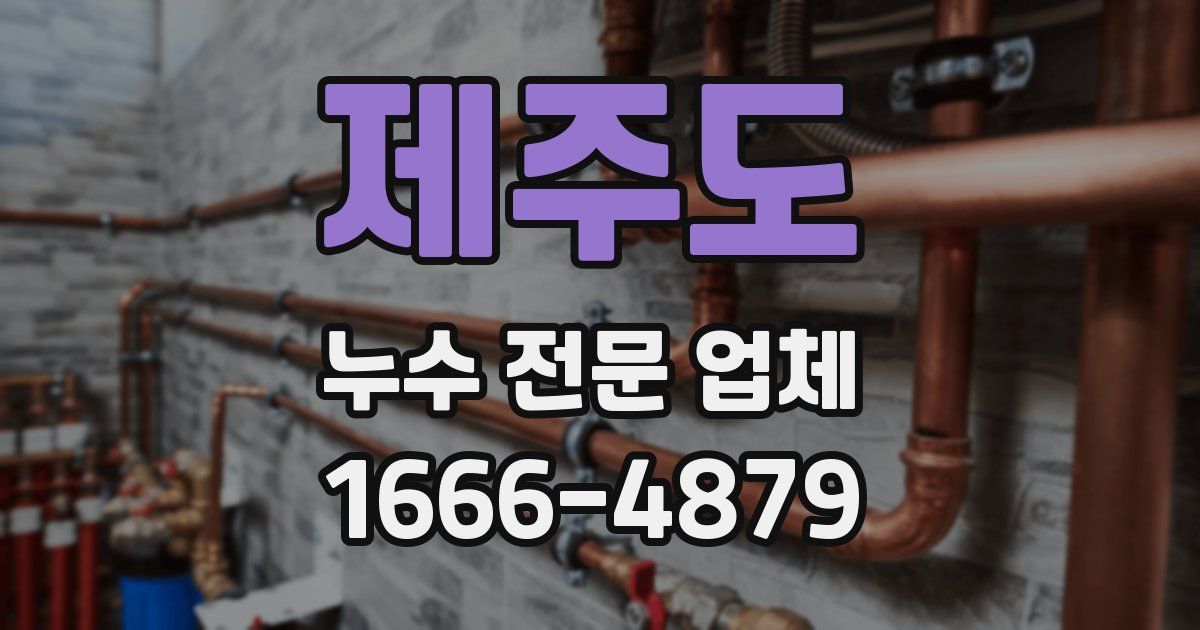 제주도 누수 전문 업체