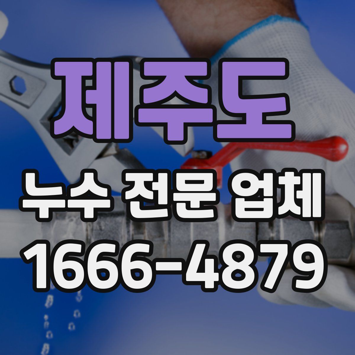제주도 누수 전문 업체