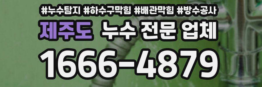 제주도 누수 전문 업체