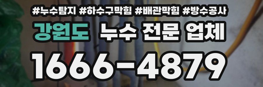강원도 누수 전문 업체