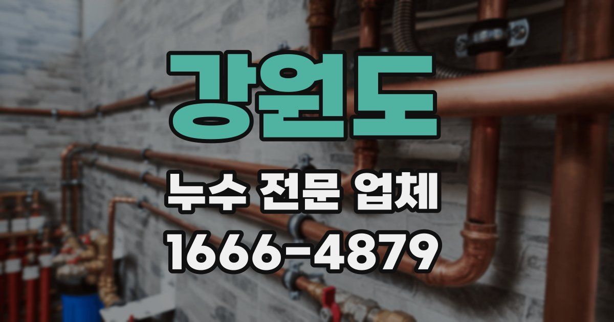 강원도 누수 전문 업체