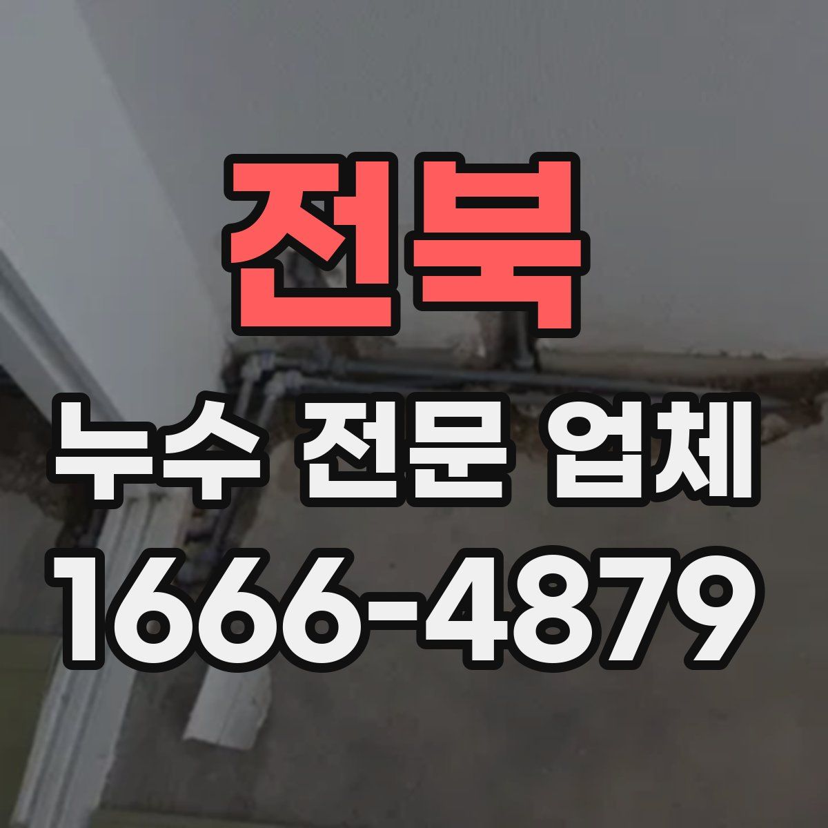 전북 누수 전문 업체