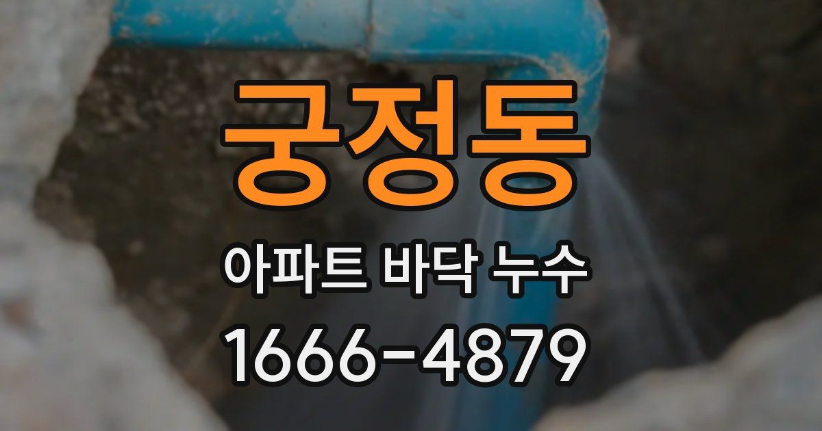 궁정동 아파트 바닥 누수