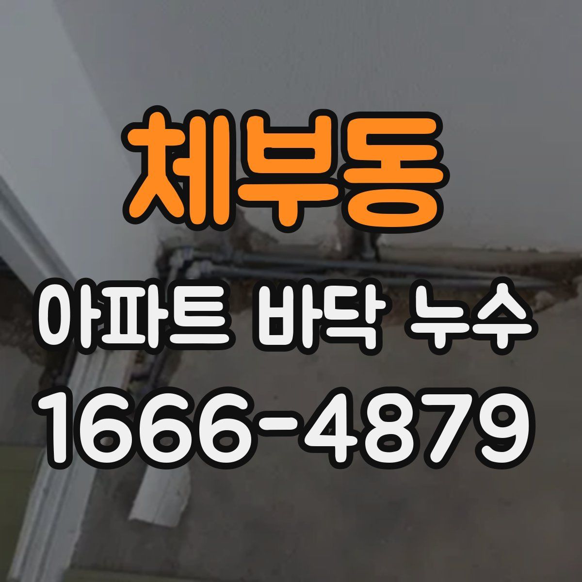 체부동 아파트 바닥 누수