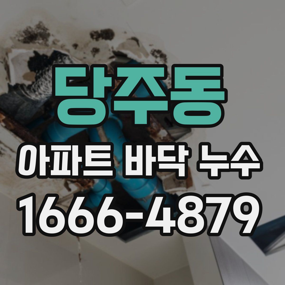 당주동 아파트 바닥 누수