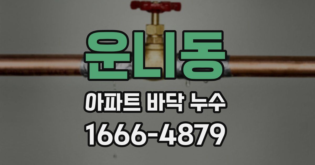 운니동 아파트 바닥 누수