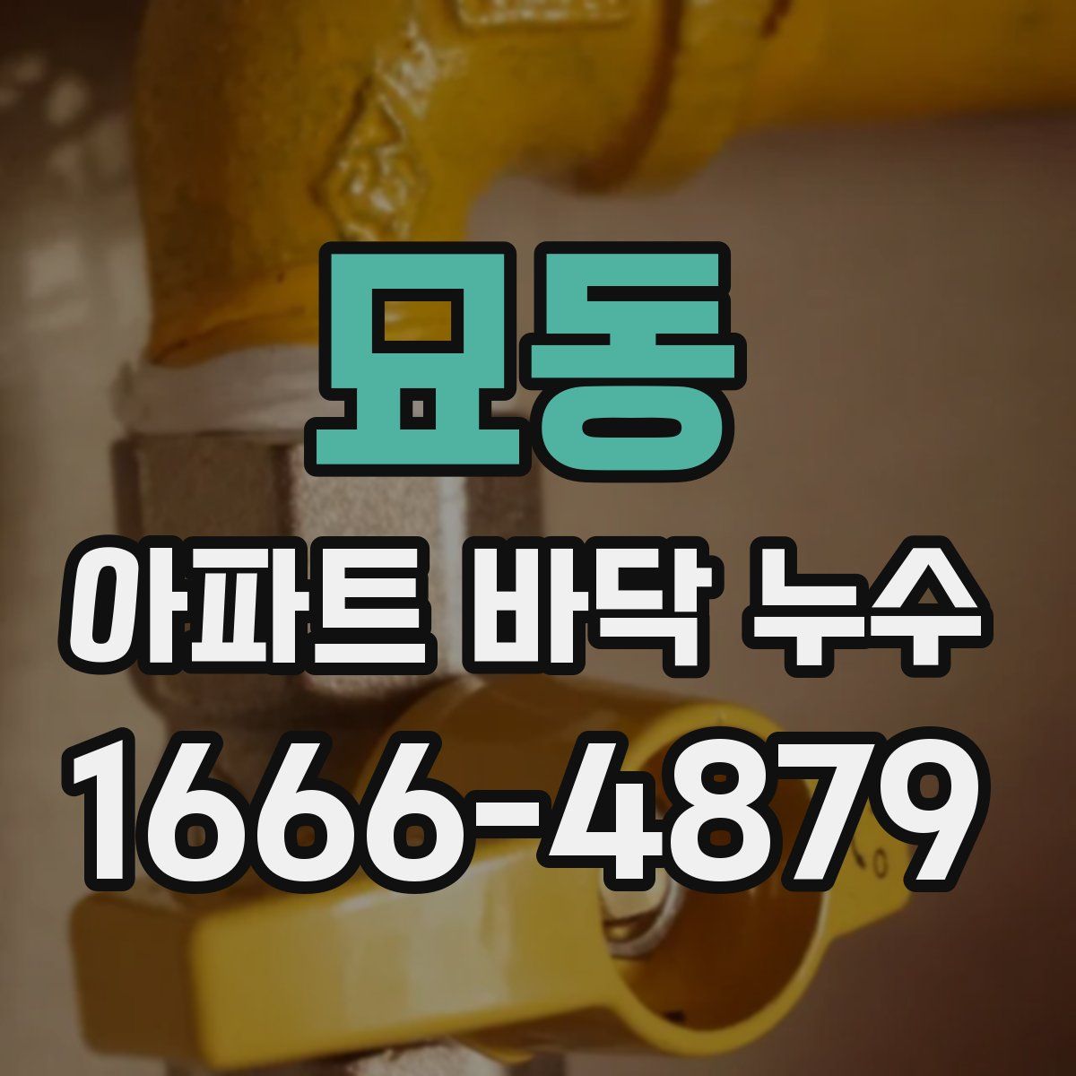 묘동 아파트 바닥 누수