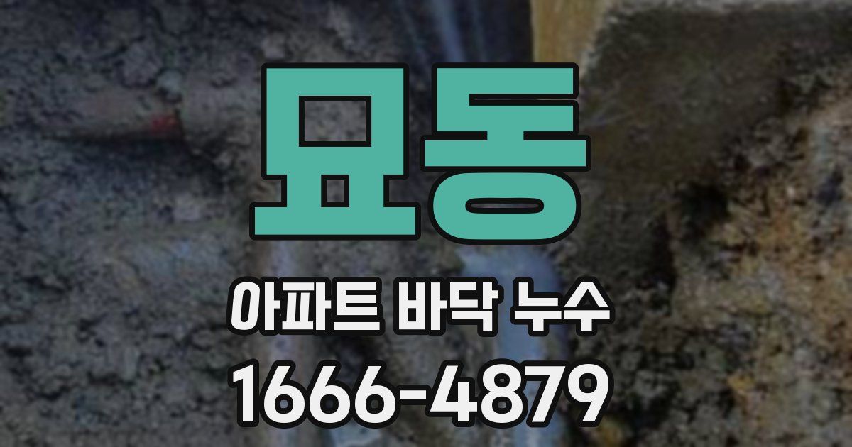 묘동 아파트 바닥 누수