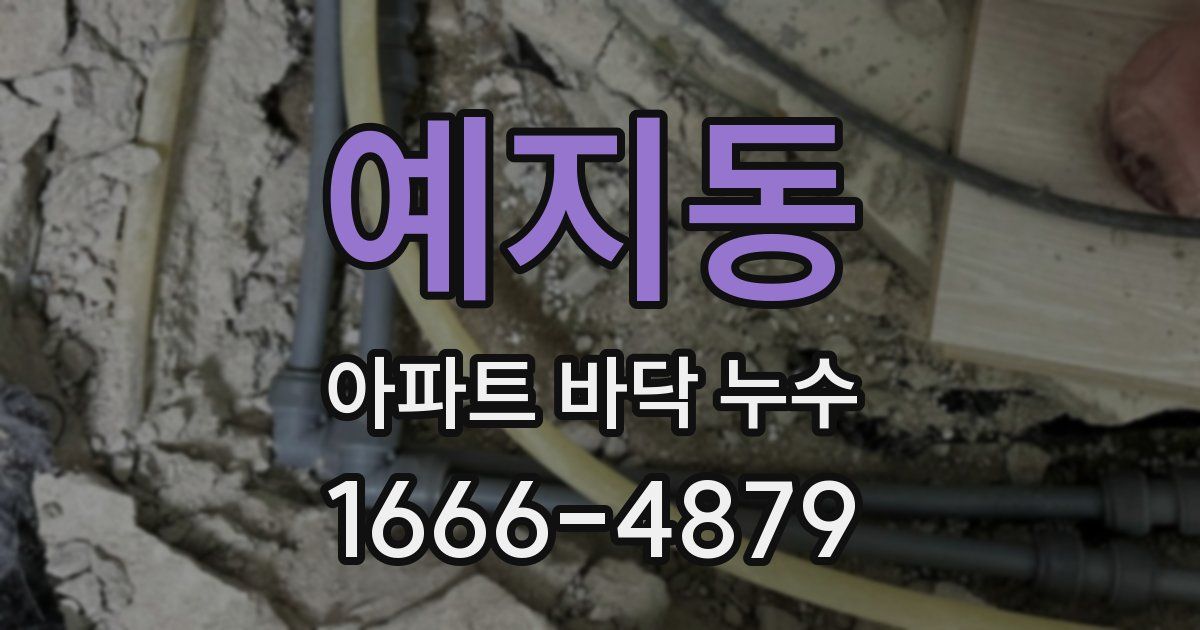 예지동 아파트 바닥 누수