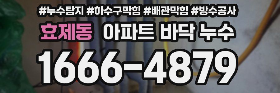 효제동 아파트 바닥 누수