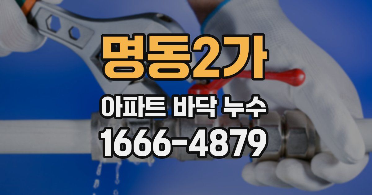 명동2가 아파트 바닥 누수