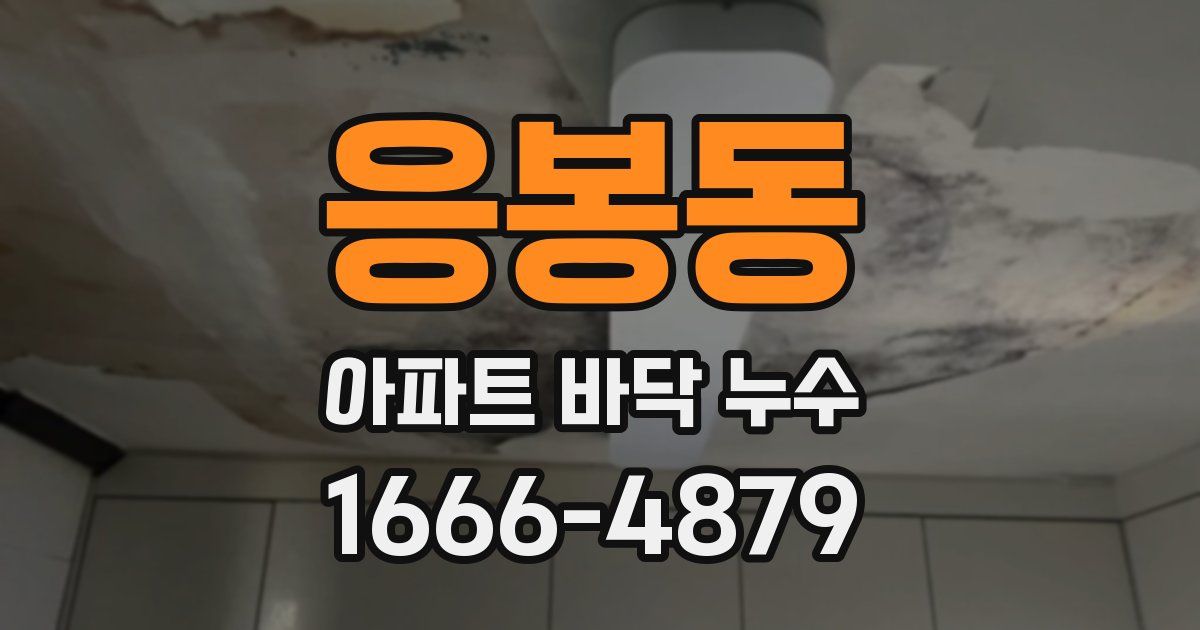 응봉동 아파트 바닥 누수