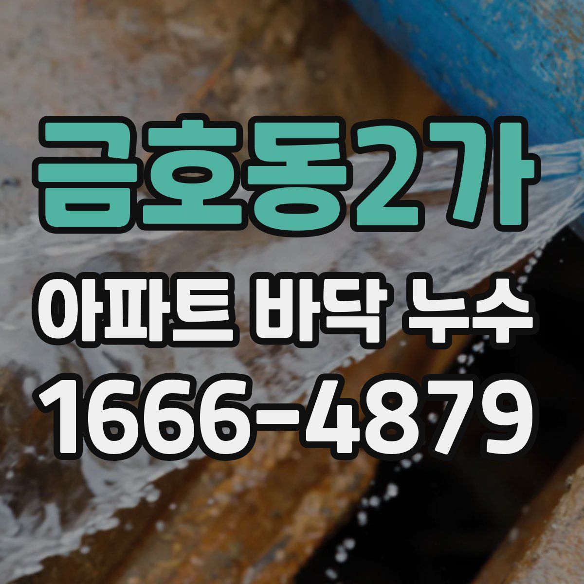금호동2가 아파트 바닥 누수