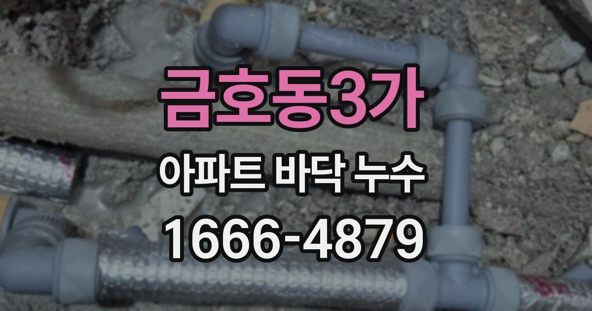 금호동3가 아파트 바닥 누수