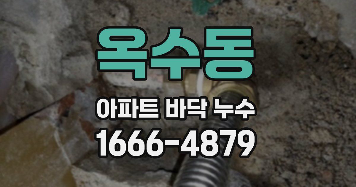 옥수동 아파트 바닥 누수