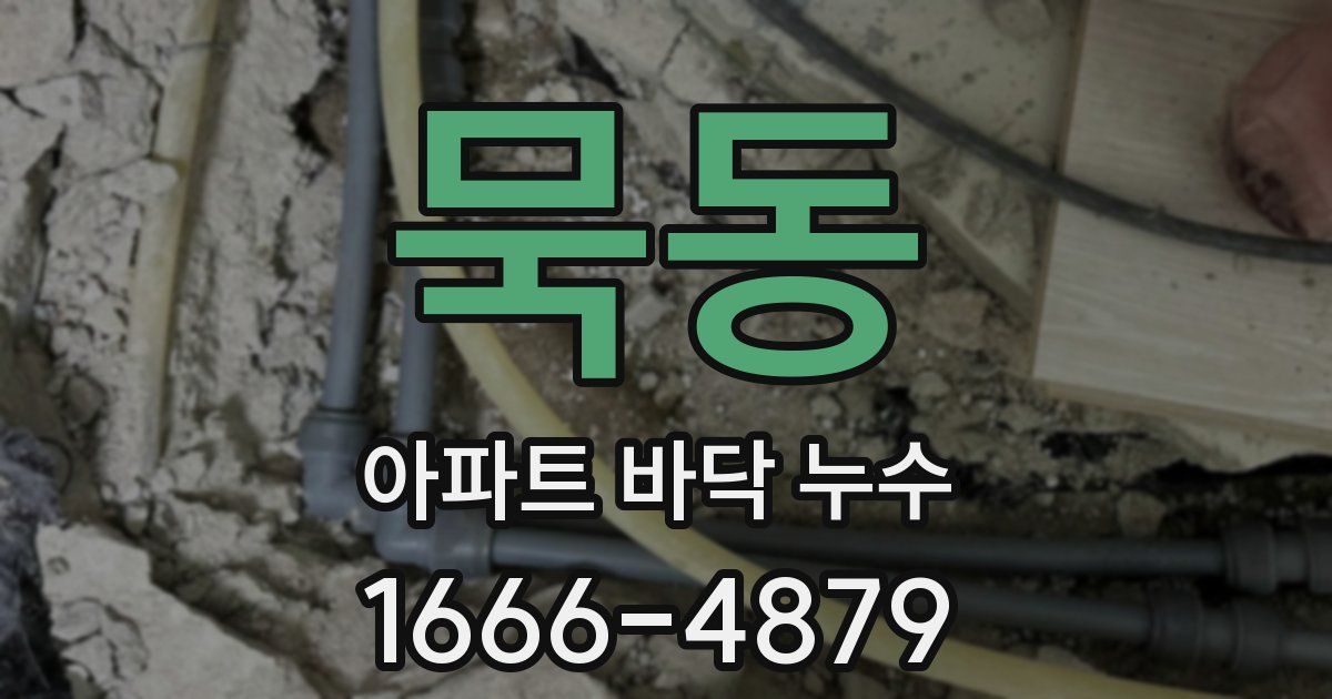 묵동 아파트 바닥 누수