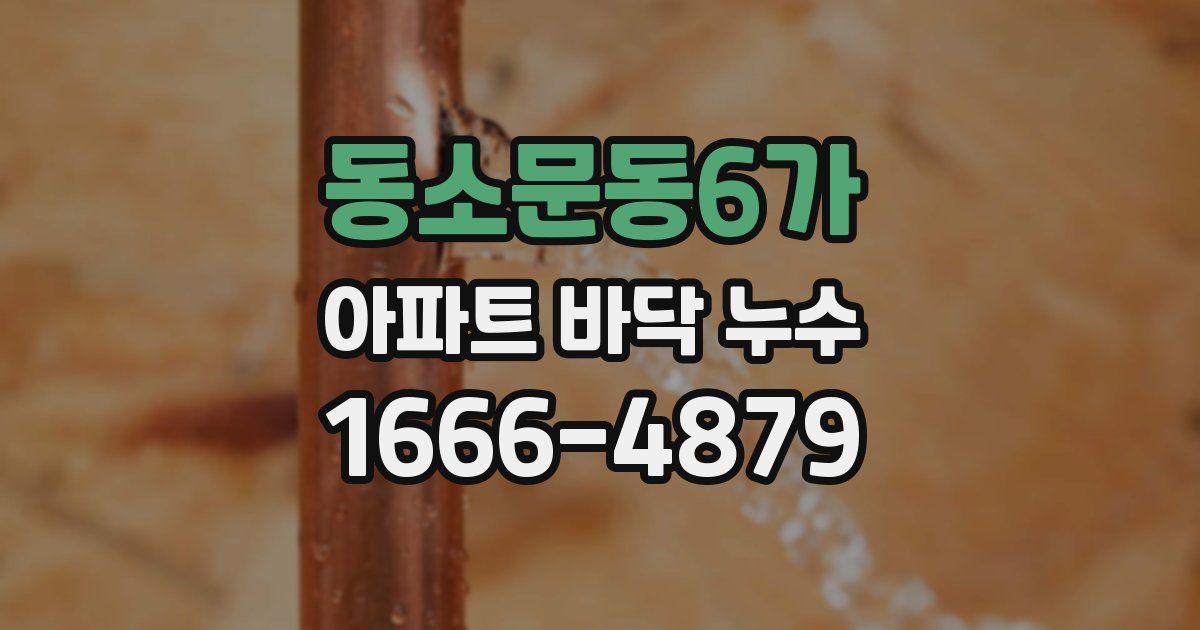 동소문동6가 아파트 바닥 누수