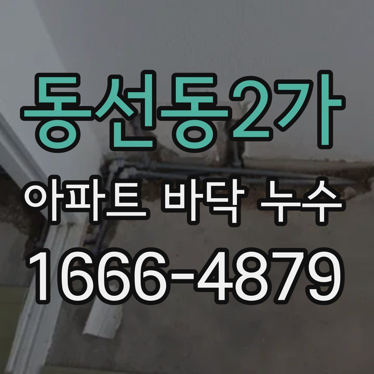 동선동2가 아파트 바닥 누수