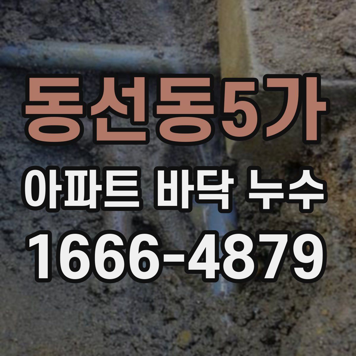 동선동5가 아파트 바닥 누수
