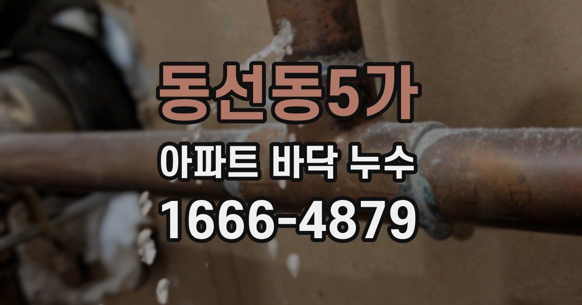 동선동5가 아파트 바닥 누수