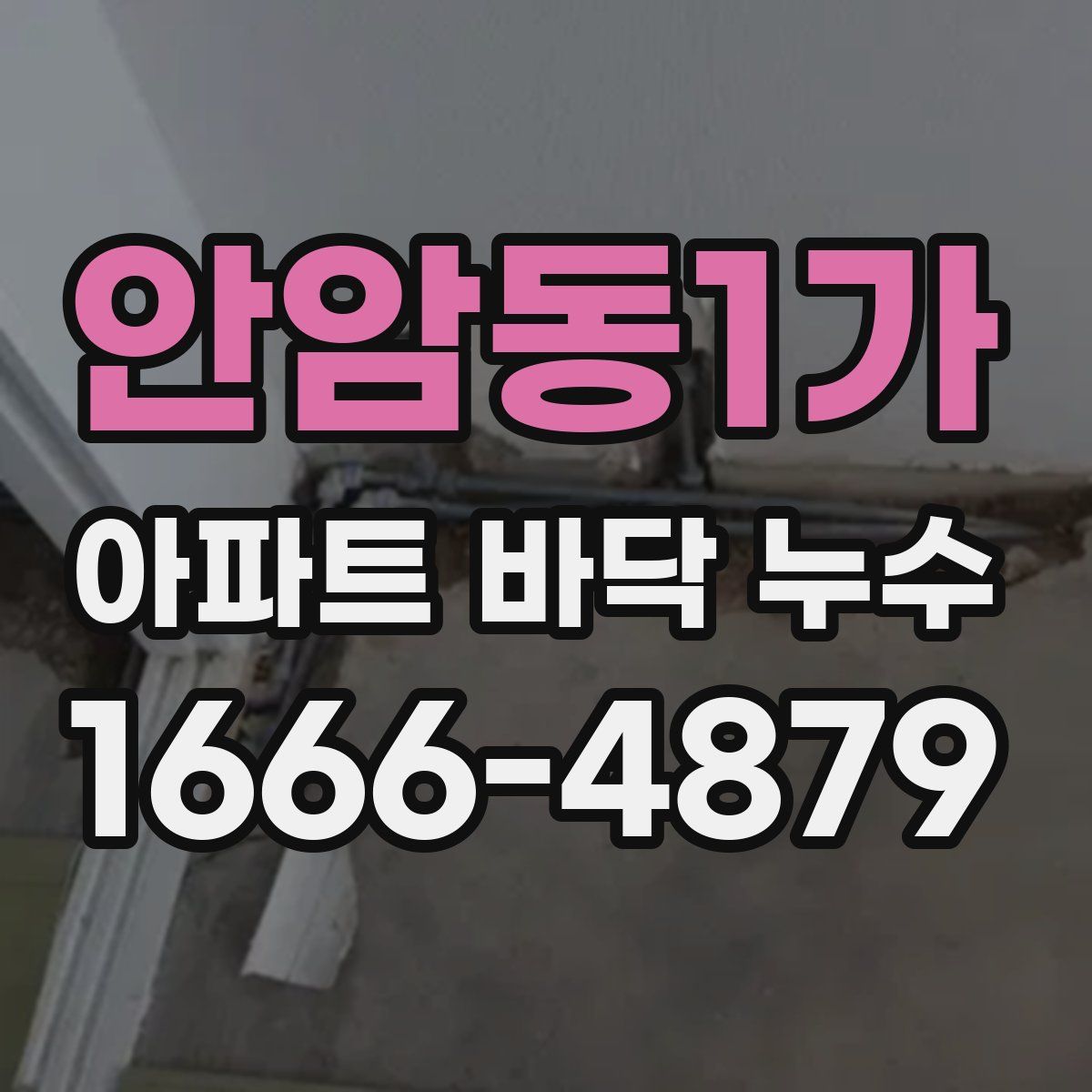 안암동1가 아파트 바닥 누수