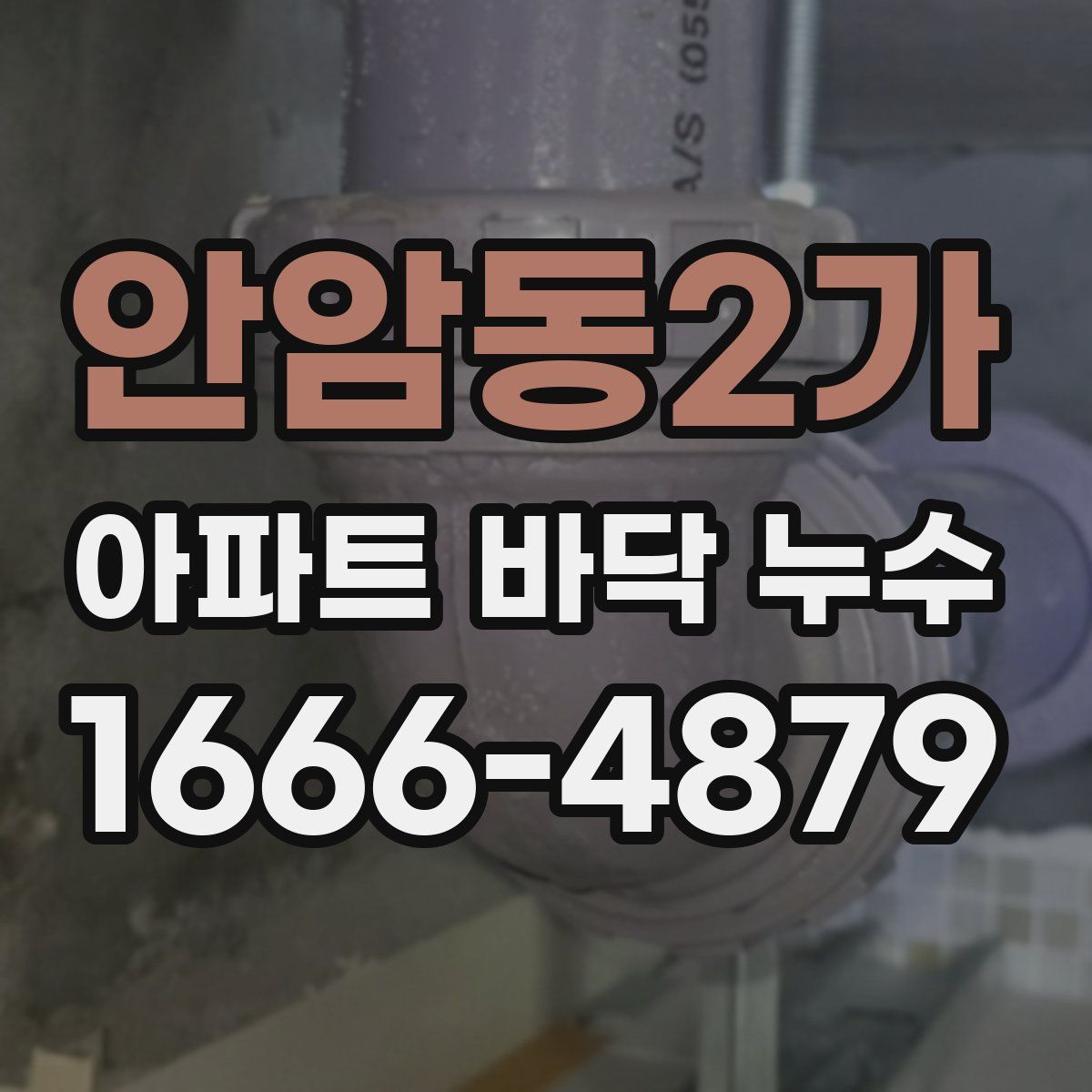 안암동2가 아파트 바닥 누수