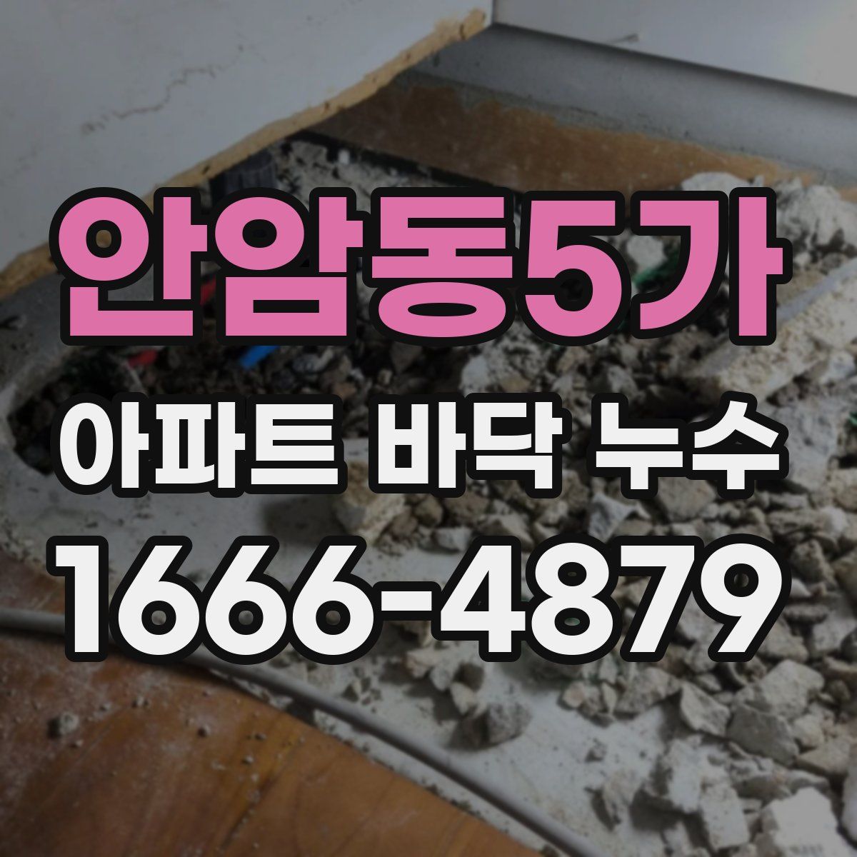 안암동5가 아파트 바닥 누수