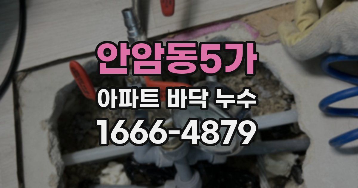 안암동5가 아파트 바닥 누수
