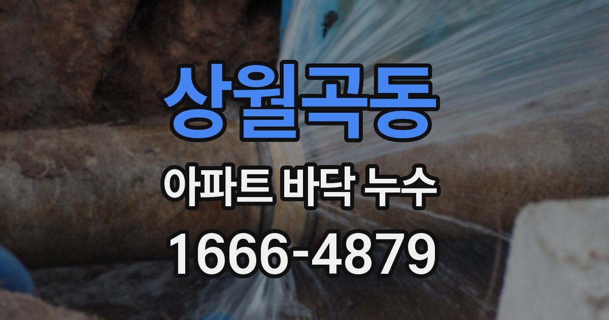 상월곡동 아파트 바닥 누수