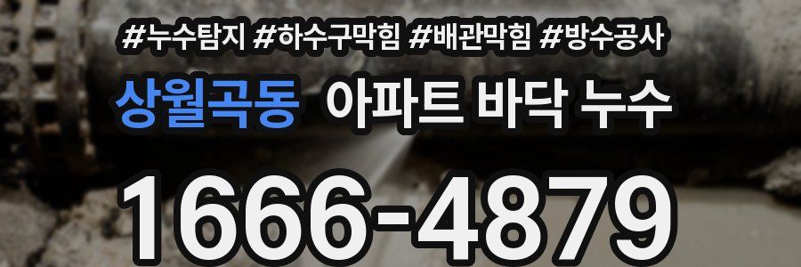 상월곡동 아파트 바닥 누수