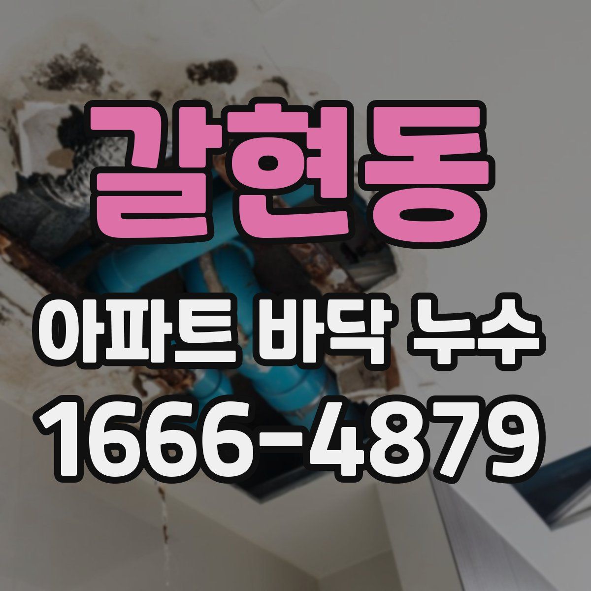 갈현동 아파트 바닥 누수