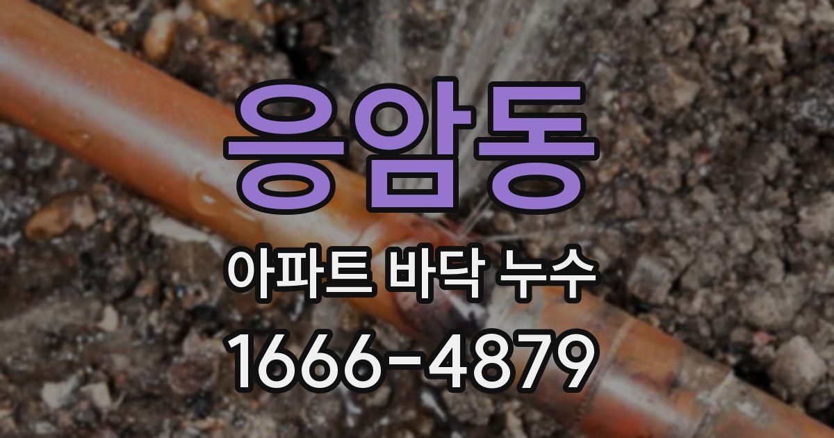 응암동 아파트 바닥 누수