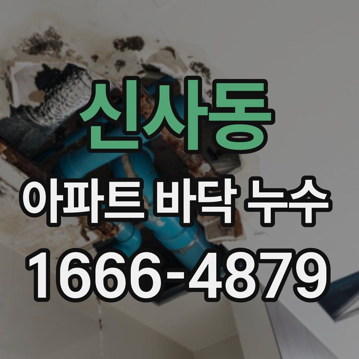 신사동 아파트 바닥 누수