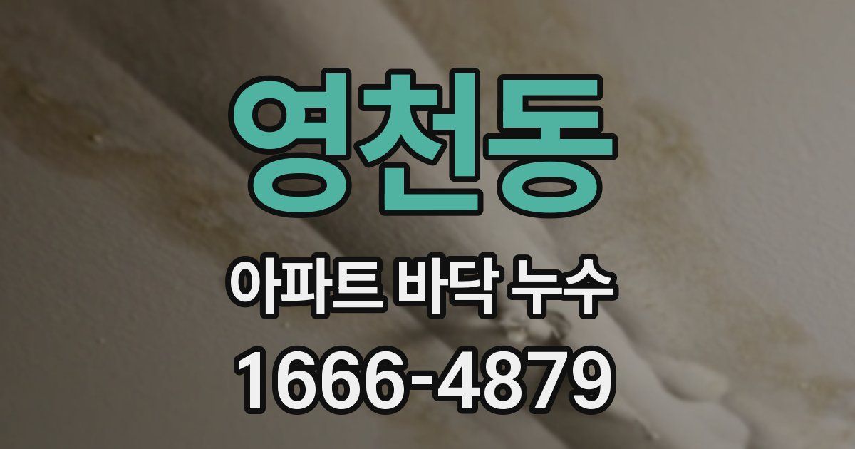 영천동 아파트 바닥 누수