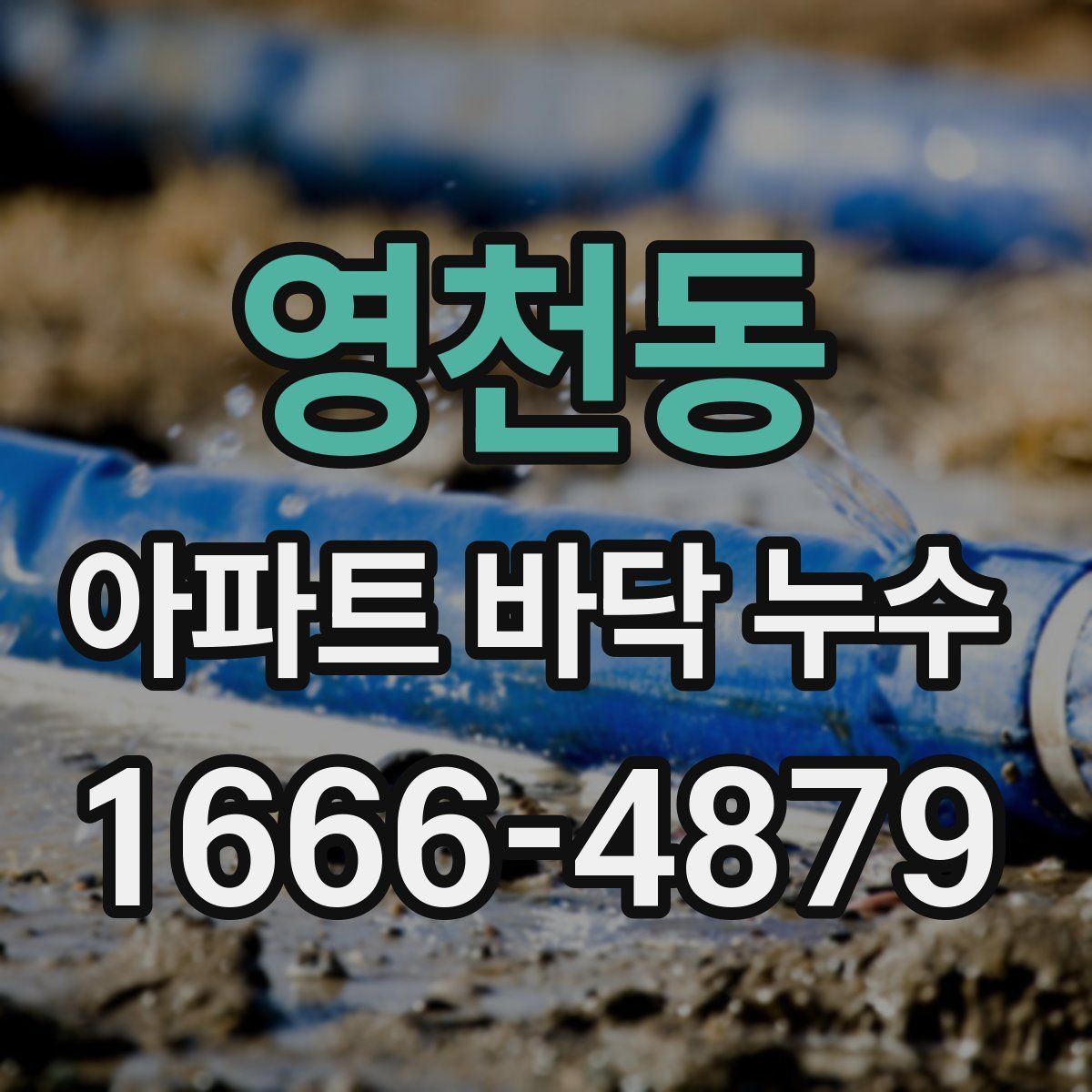 영천동 아파트 바닥 누수
