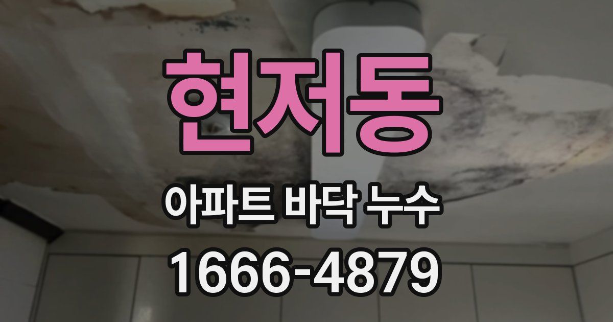 현저동 아파트 바닥 누수
