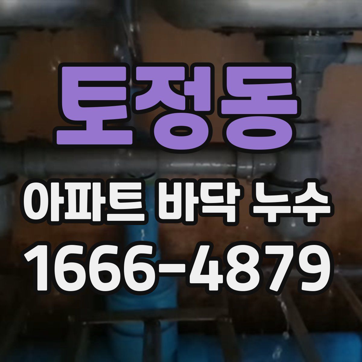 토정동 아파트 바닥 누수