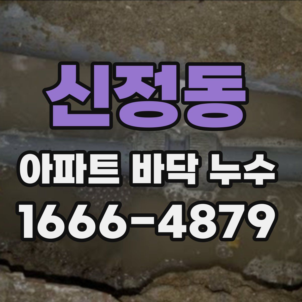 신정동 아파트 바닥 누수