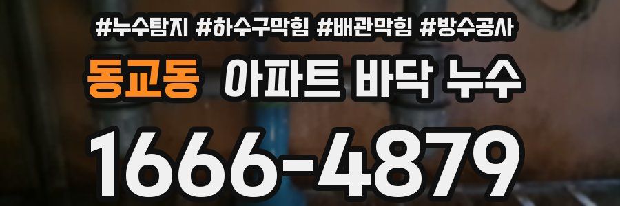 동교동 아파트 바닥 누수