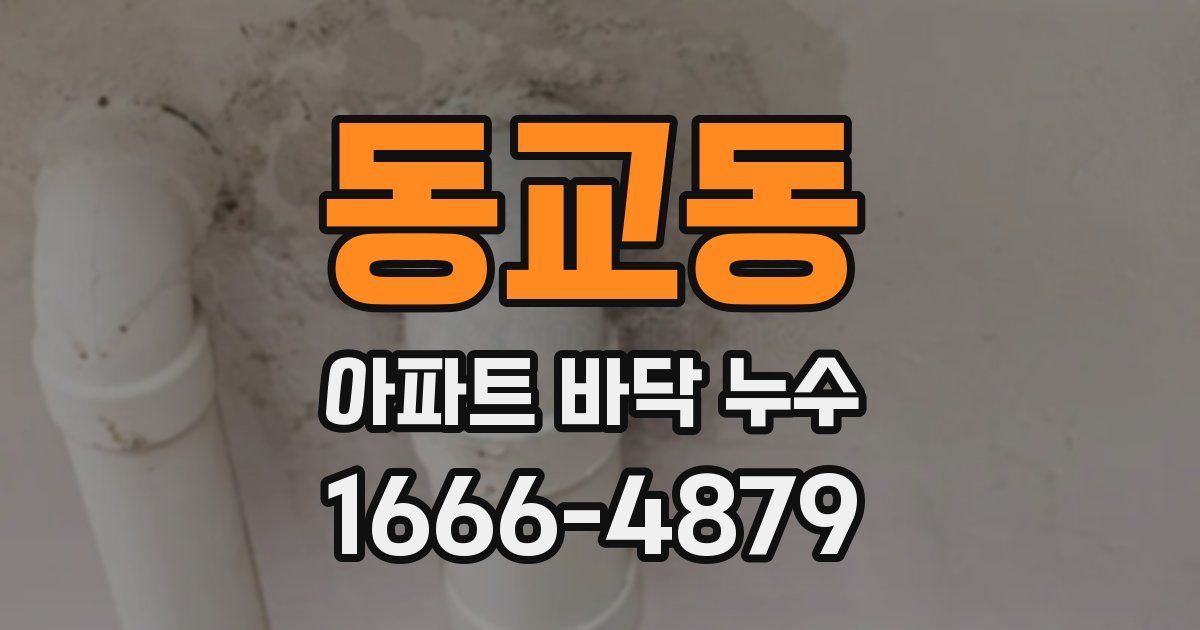 동교동 아파트 바닥 누수